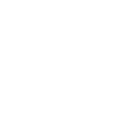 TetraFlow Logo